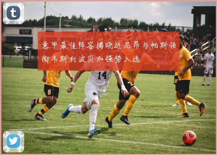 意甲最佳阵容揭晓迈尼昂与帕斯领衔韦斯利波贝加强势入选